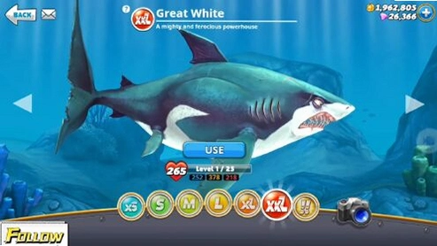����� Great White Shark2026 �ٷ���ʽ��