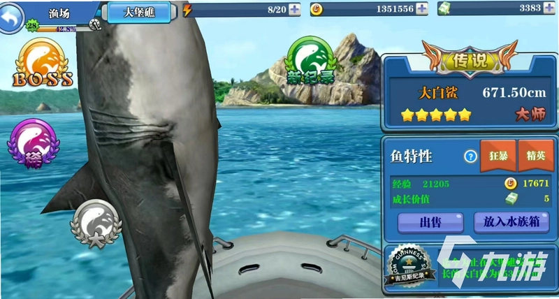 ����� Great White Shark2026 �ٷ���ʽ��