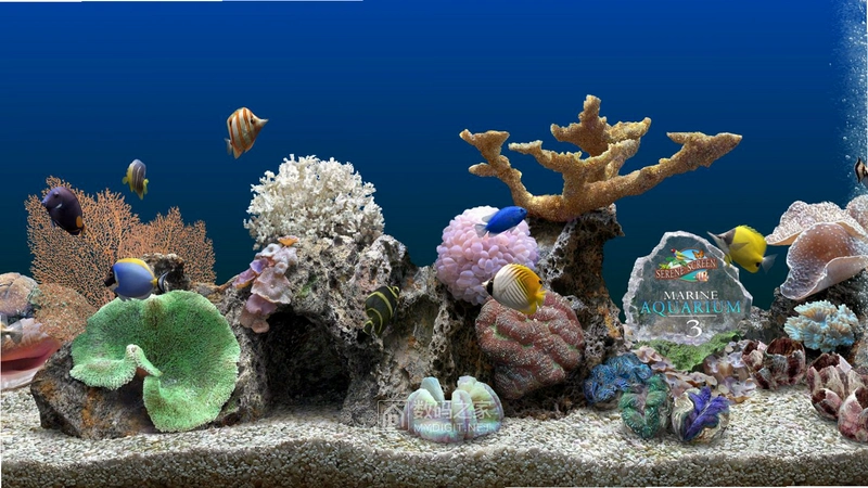 �ȴ����̵�1 Tropical Fish Shop 11.0 �ٷ���