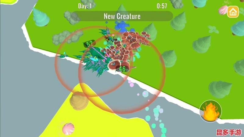 �������� Flying Creatures2026 ���°�