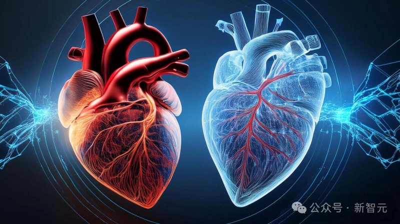 ��������2 BioHazard Heart 22026 ��ʽ��