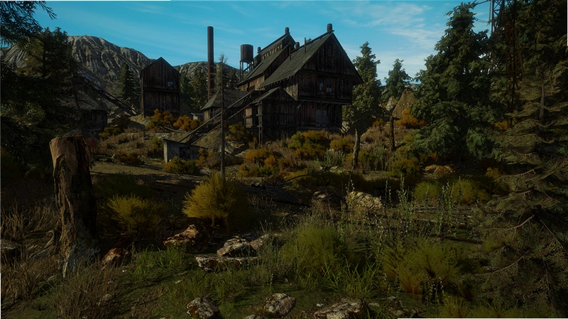 �Խ��� Gold Rush2026 �ٷ����İ�