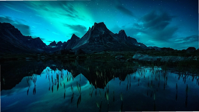 ҹ�� Night Sky2026 ���ĺ�����