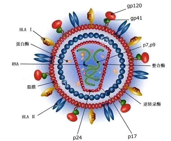 ��ת¼���� Retrovirus2026 ���İ�