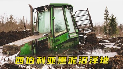 ������ϳ����� Swamp Buggy Racing1.0 �ٷ���