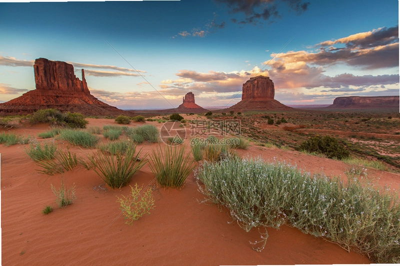 ����2:����ɣ���� Return 2: Arizona2026 ���԰�