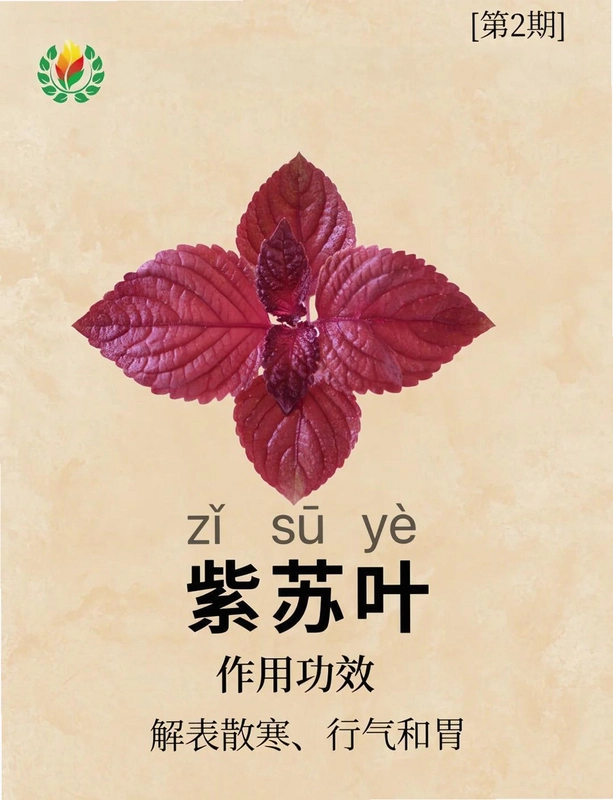 ����֮Ҷ Zisu Zhiye1.0.0 ��ʽ��