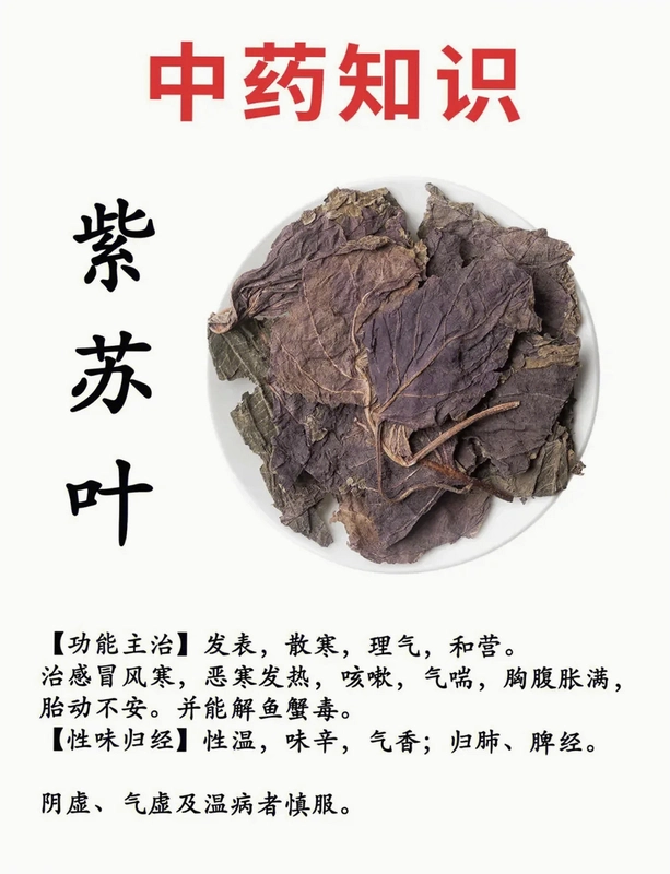 ����֮Ҷ Zisu Zhiye1.0.0 ��ʽ��