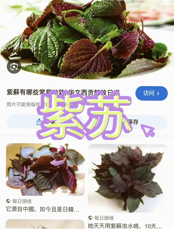 ����֮Ҷ Zisu Zhiye1.0.0 ��ʽ��