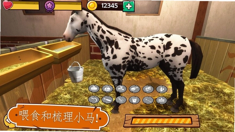 С������ Pony World2026 ��ʽ��
