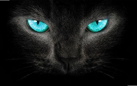 �ڰ���˵2:�����µĺ�è2026 ���İ�