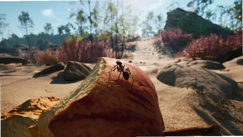 ���ϵ۹� Empire of Ants2026 ��ʽ��