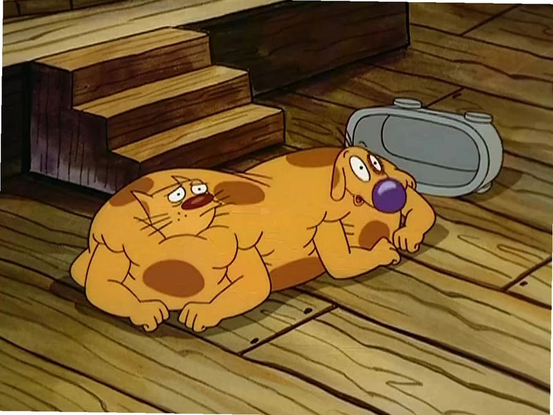 è��Catdog ��ɫӲ�̰�2026 ��ɫӲ�̰�