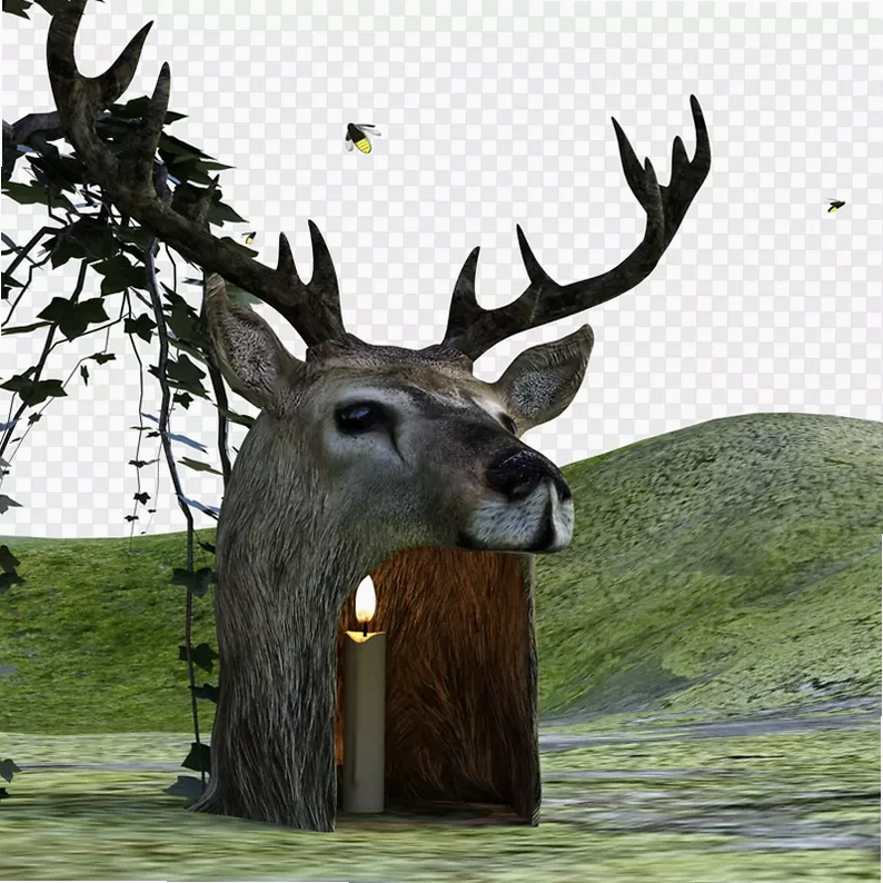 ���İ�β¹ Last White-Tailed Deer2026 ��ɫӲ�̰�