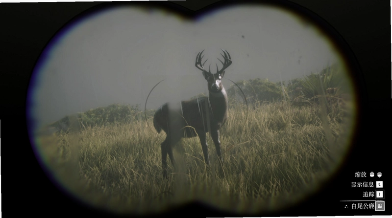 ���İ�β¹ Last White-Tailed Deer2026 ��ɫӲ�̰�