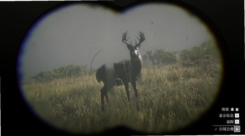 ���İ�β¹ Last Whitetail1.0 ��ɫӲ�̰�