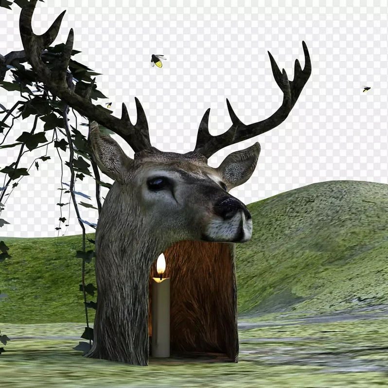 ���İ�β¹ Last Whitetail1.0 ��ɫӲ�̰�
