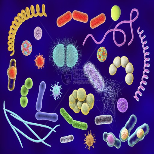 ΢����Ĺ��� Microbes Story2026 ����������Ϸ