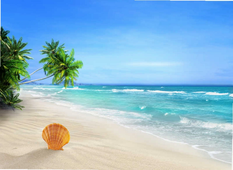 �ȼ�Ѱ��:�����ĺ�̲ ��������2026 �������н���