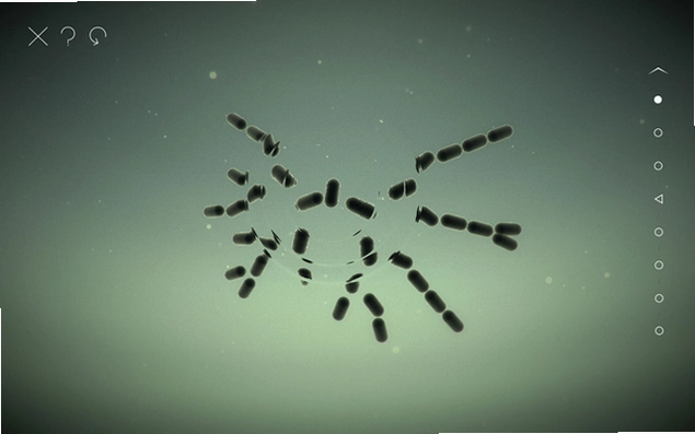 ����ƴ�� Sequence Assembly2026 ��ʽ��