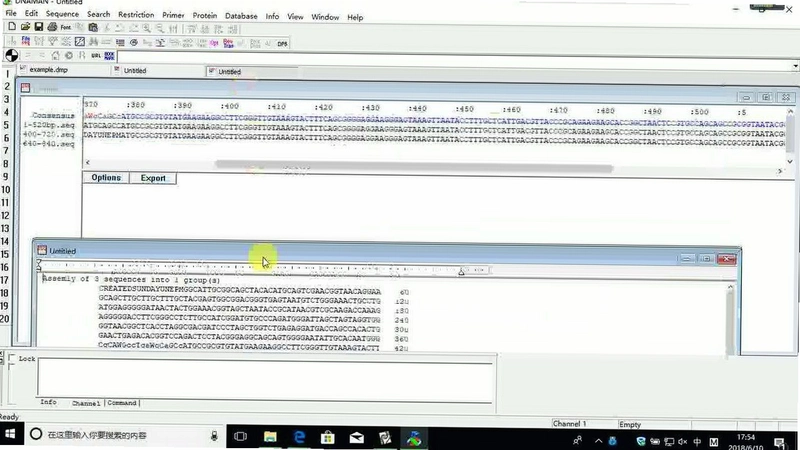 ����ƴ�� Sequence Assembly2026 ��ʽ��