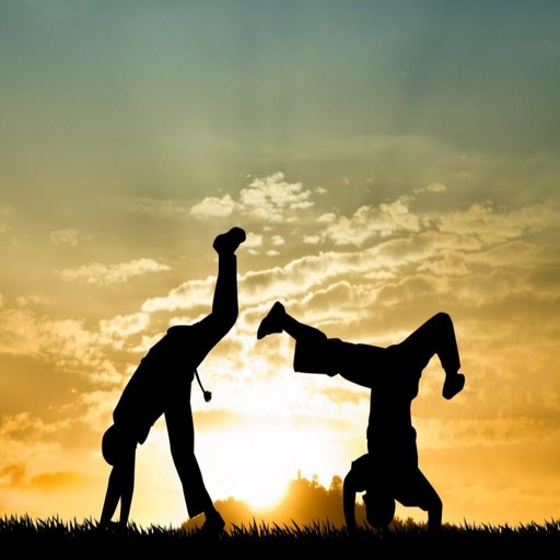 ����:����Ү�� Capoeira2026 �ٷ����İ�