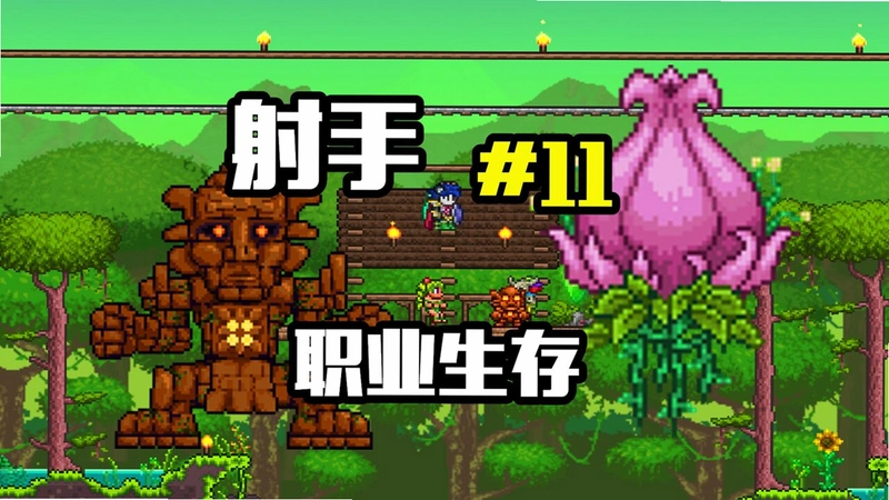 ̩��Terra2026 Ӳ�̰�