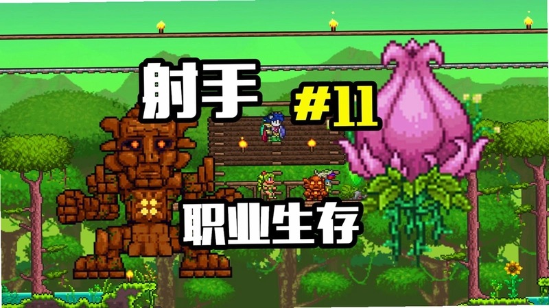 ̩��Terra1.0.4 Ӳ�̰�