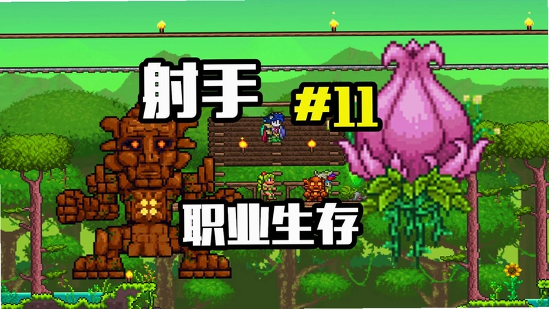 ̩��Terra2026 Ӳ�̰�