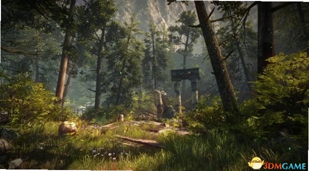 ����֮���ɭ�� Iris  the Soul ForestӲ�̰� 2026 �������İ�
