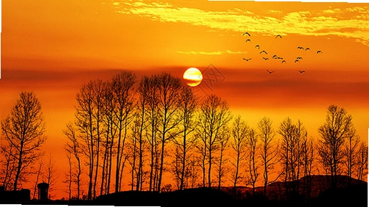 ���յĻƻ� Sunset Dusk2026 ��ʽ��