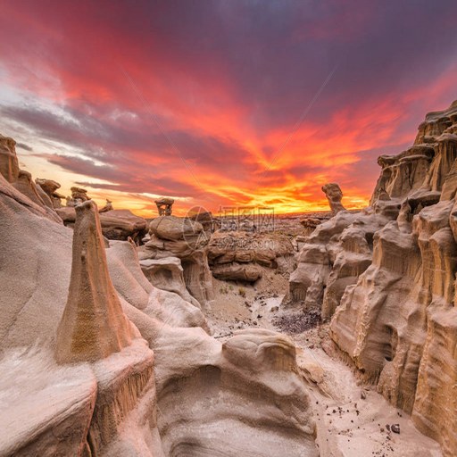 �����ī������ Resurrection: New Mexico2026 ����Ӳ�̰�