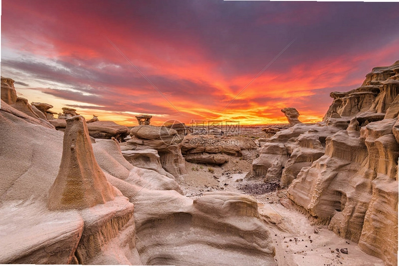 �����ī������ Resurrection: New Mexico2026 ����Ӳ�̰�