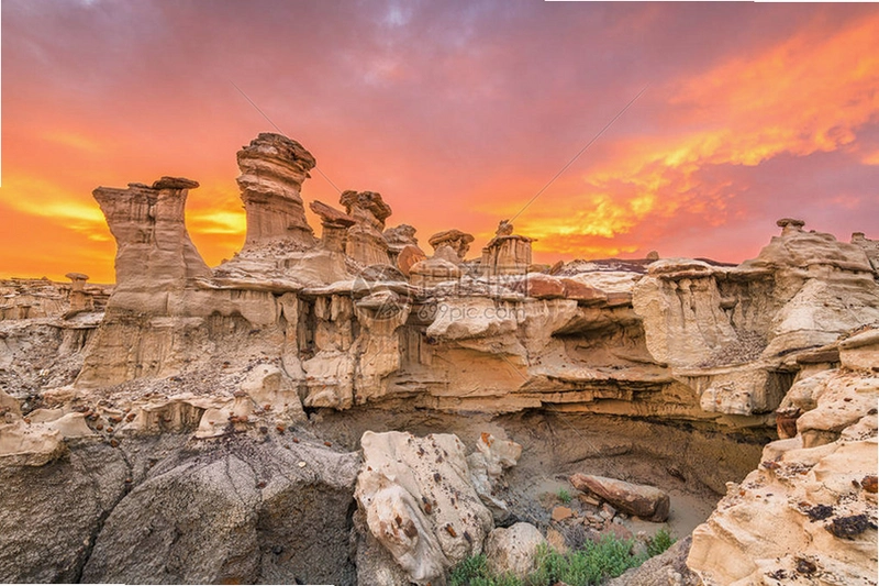 �����ī������ Resurrection: New Mexico2026 ����Ӳ�̰�