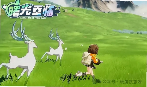 ��⵺�ĳ��� Shuguang Island Pets2026 ����Ӳ�̰�