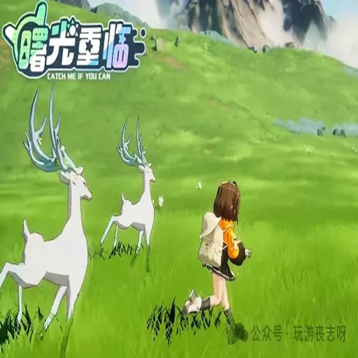��⵺�ĳ��� Shuguang Island Pets2026 ����Ӳ�̰�