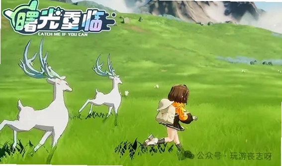 ��⵺�ĳ��� Dawn Island Pets2026 ����Ӳ�̰�