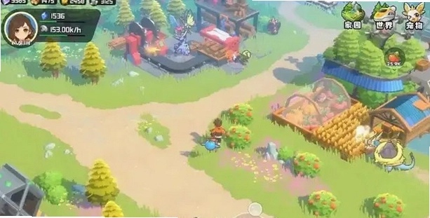 ��⵺�ĳ��� Dawn Island Pets2026 ����Ӳ�̰�