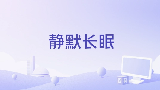 ��Ĭ���� Silent Slumber2026 �ⰲװ��