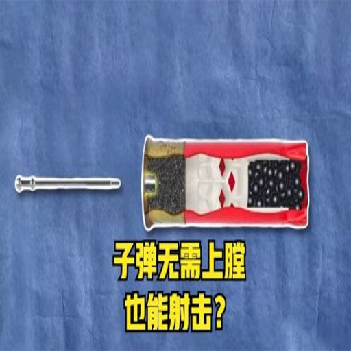 �ս��ӵ� Final Bullet2026 �ٷ����԰�