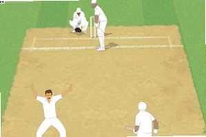 ���ʰ�����2009 International Cricket Captain 20092009 ��ʽ��