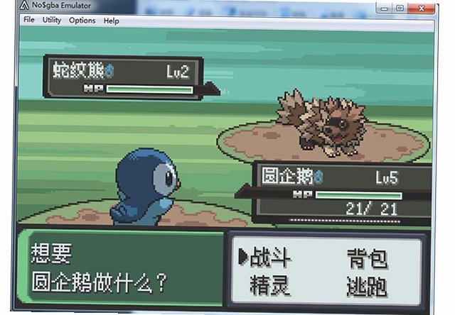 �ڴ����ָ� Pokemon Fighting2026 ���°�
