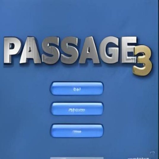 ��ɳ��3 passage33.0 ��ɫ��