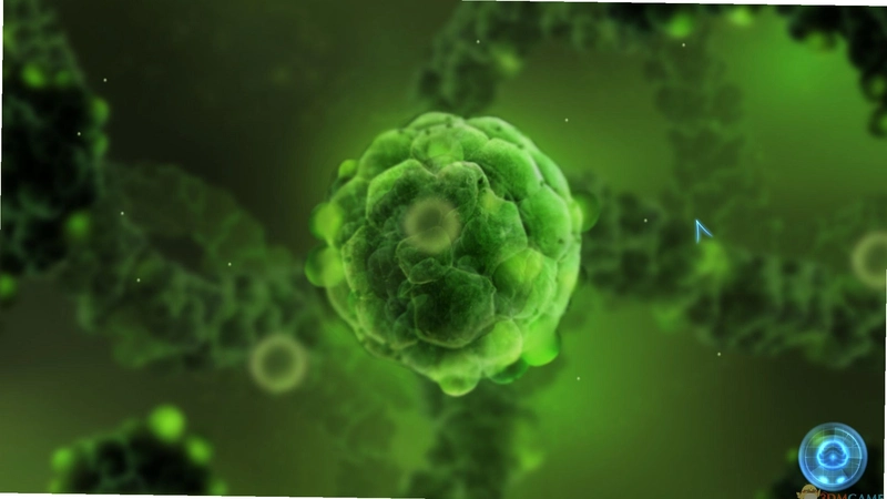 ����Σ�� Virus Crisis2026 �ٷ����İ�