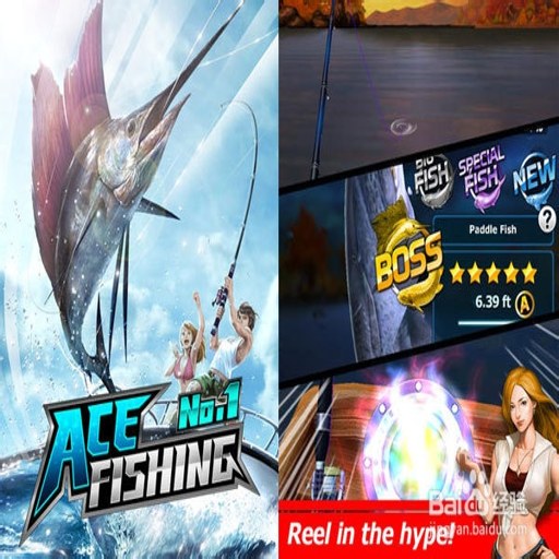 �����Ƶ��� Single Card Fishing2026 �ٷ���ʽ��