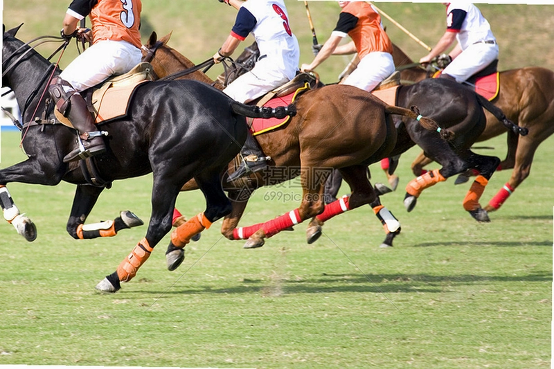 �������ֲ� Equestrian Club2026 ���İ�