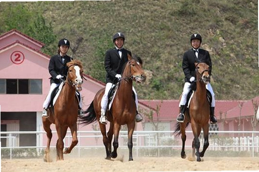 �������ֲ� Equestrian Club2026 ���İ�
