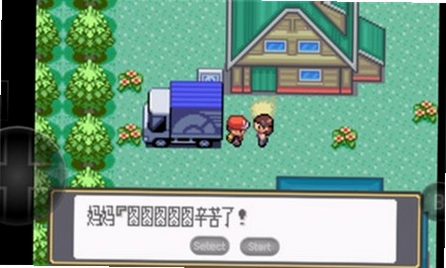 �ڴ����ֺڰ� Pokemon Black  White2026 ���°�