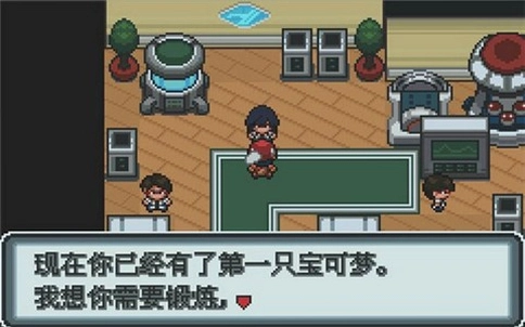 �ڴ����ְ� Pokemon White2026 �������İ�