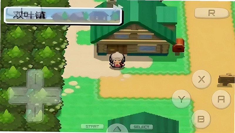 �ڴ����ְ� Pokemon White2026 �������İ�